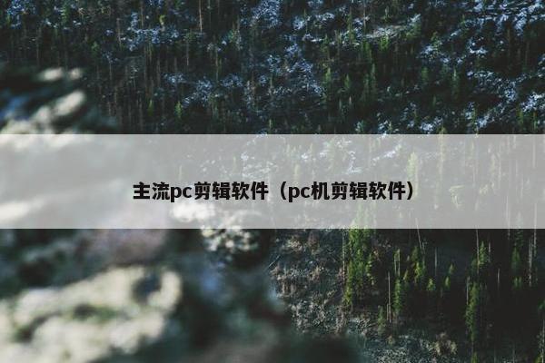 主流pc剪辑软件（pc机剪辑软件）