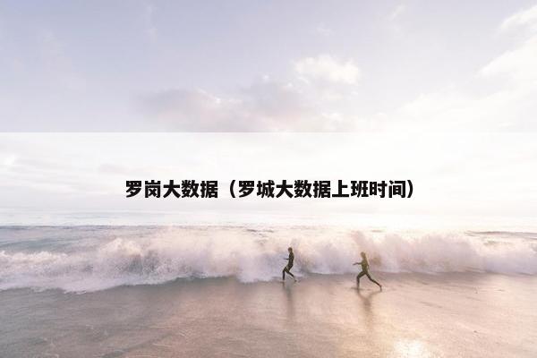 罗岗大数据（罗城大数据上班时间）
