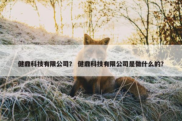 健鼎科技有限公司？ 健鼎科技有限公司是做什么的？