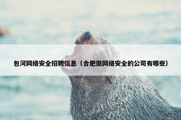包河网络安全招聘信息（合肥做网络安全的公司有哪些）