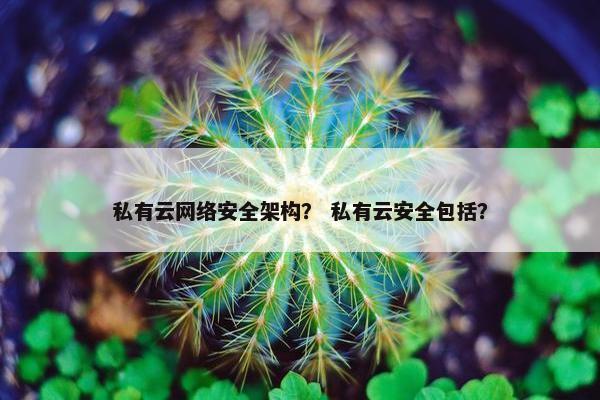 私有云网络安全架构？ 私有云安全包括？