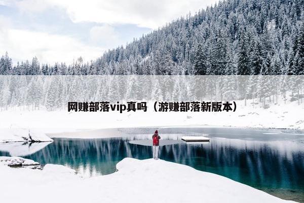 网赚部落vip真吗（游赚部落新版本）