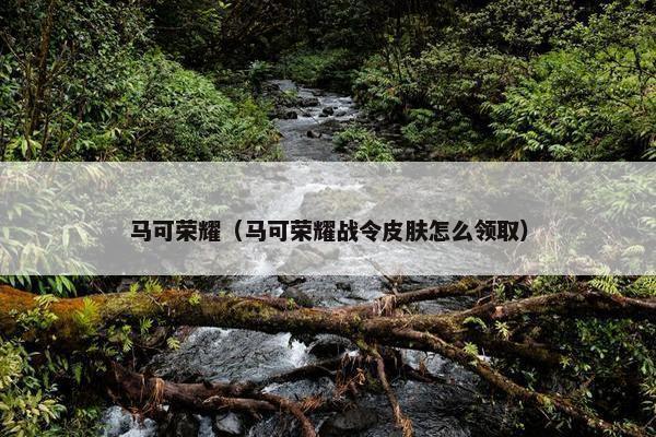 马可荣耀（马可荣耀战令皮肤怎么领取）
