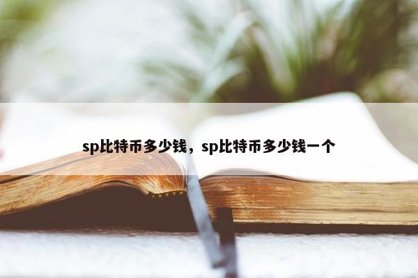 sp比特币多少钱，sp比特币多少钱一个