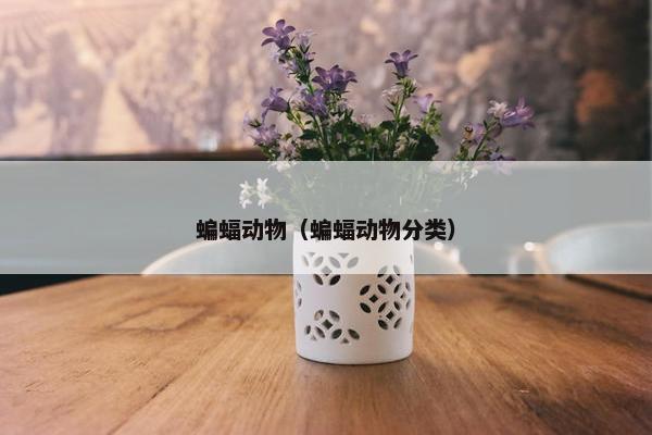 蝙蝠动物（蝙蝠动物分类）