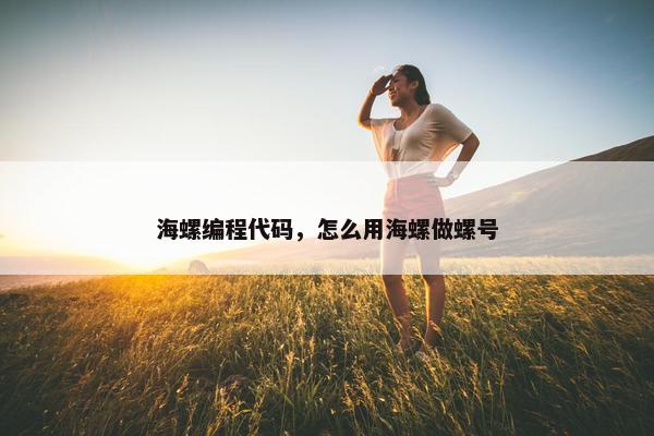 海螺编程代码，怎么用海螺做螺号