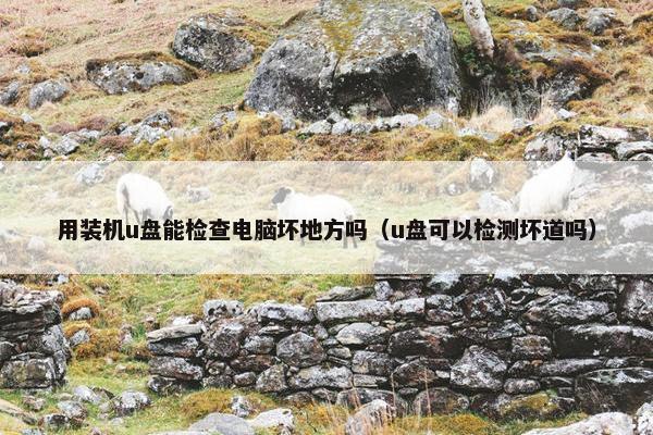 用装机u盘能检查电脑坏地方吗（u盘可以检测坏道吗）