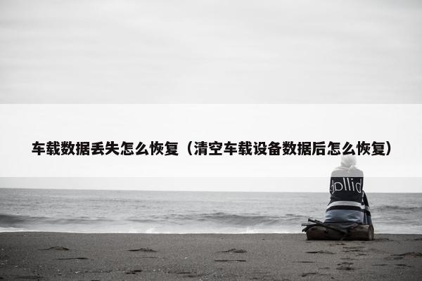 车载数据丢失怎么恢复（清空车载设备数据后怎么恢复）