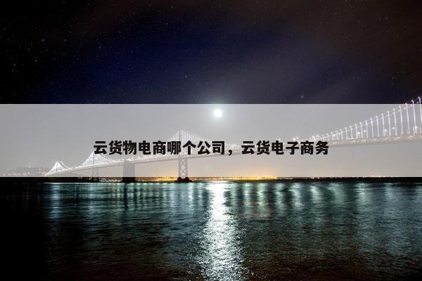 云货物电商哪个公司，云货电子商务