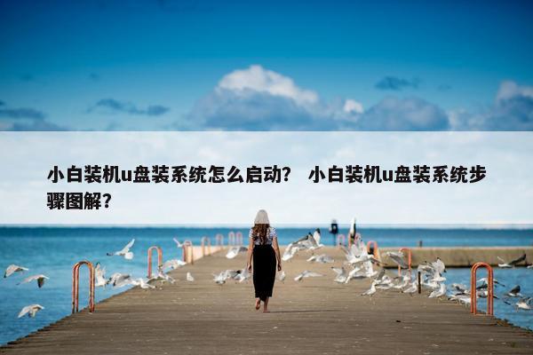 小白装机u盘装系统怎么启动？ 小白装机u盘装系统步骤图解？