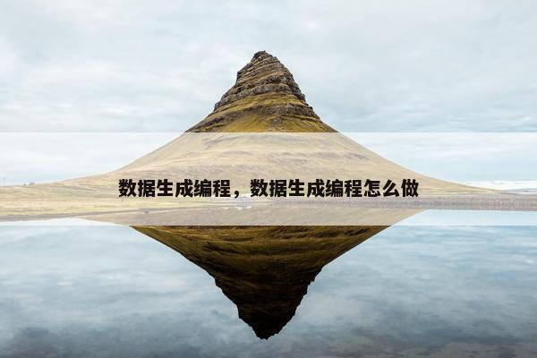 数据生成编程，数据生成编程怎么做