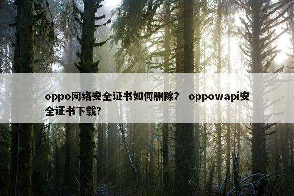 oppo网络安全证书如何删除？ oppowapi安全证书下载？