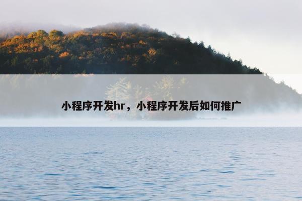 小程序开发hr，小程序开发后如何推广