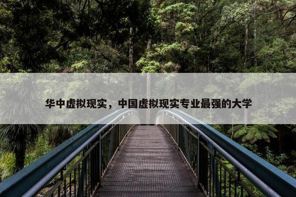 华中虚拟现实，中国虚拟现实专业最强的大学