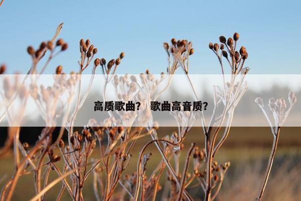 高质歌曲？ 歌曲高音质？