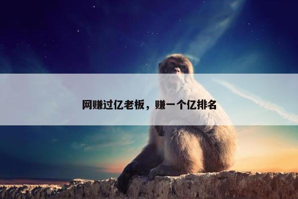 网赚过亿老板，赚一个亿排名