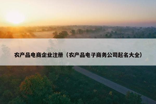 农产品电商企业注册（农产品电子商务公司起名大全）