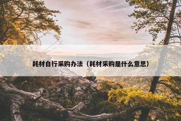 耗材自行采购办法（耗材采购是什么意思）