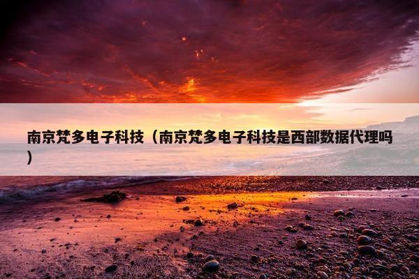 南京梵多电子科技（南京梵多电子科技是西部数据代理吗）