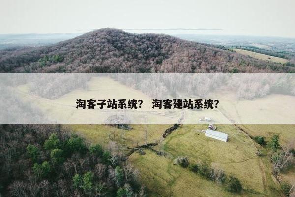 淘客子站系统？ 淘客建站系统？