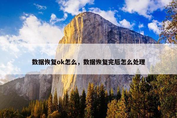 数据恢复ok怎么，数据恢复完后怎么处理