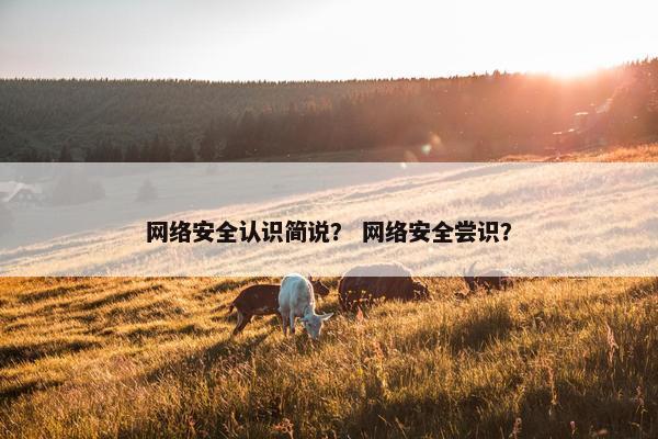 网络安全认识简说？ 网络安全尝识？