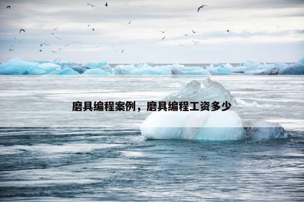 磨具编程案例，磨具编程工资多少