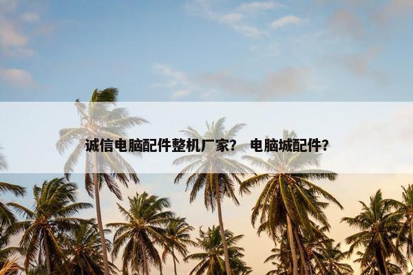 诚信电脑配件整机厂家？ 电脑城配件？