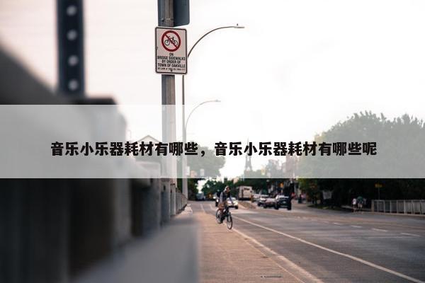 音乐小乐器耗材有哪些，音乐小乐器耗材有哪些呢