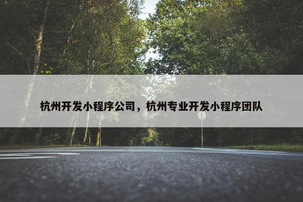 杭州开发小程序公司，杭州专业开发小程序团队