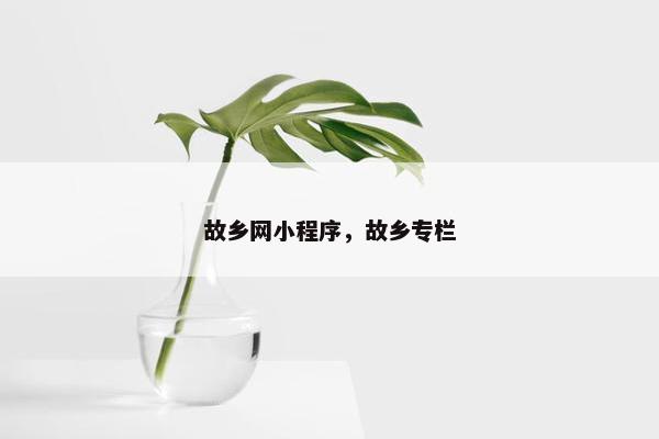 故乡网小程序，故乡专栏