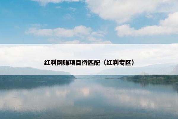 红利网赚项目待匹配（红利专区）