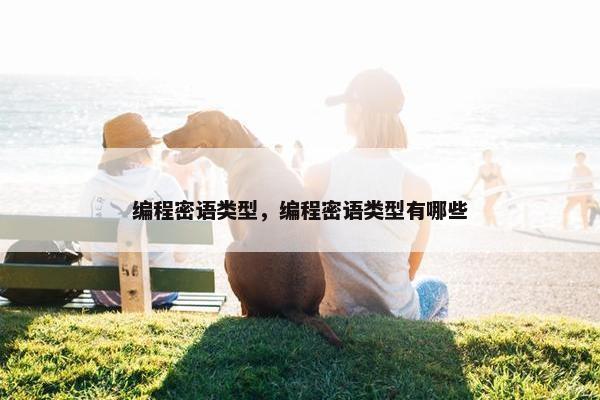 编程密语类型，编程密语类型有哪些