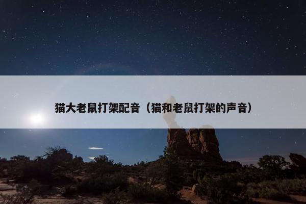 猫大老鼠打架配音（猫和老鼠打架的声音）