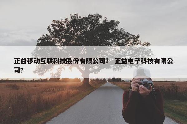 正益移动互联科技股份有限公司？ 正益电子科技有限公司？