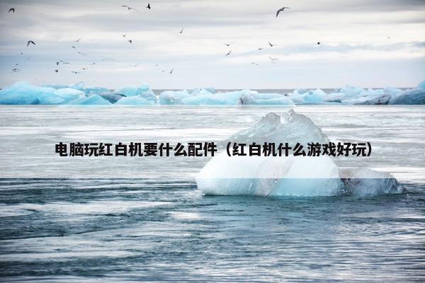 电脑玩红白机要什么配件（红白机什么游戏好玩）