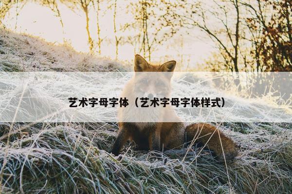 艺术字母字体（艺术字母字体样式）