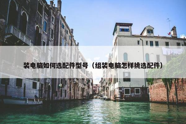 装电脑如何选配件型号（组装电脑怎样挑选配件）