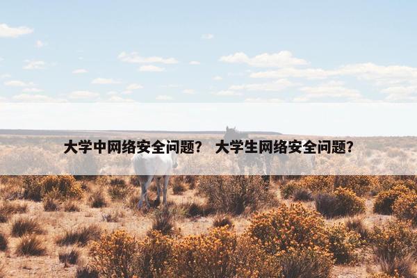 大学中网络安全问题？ 大学生网络安全问题？
