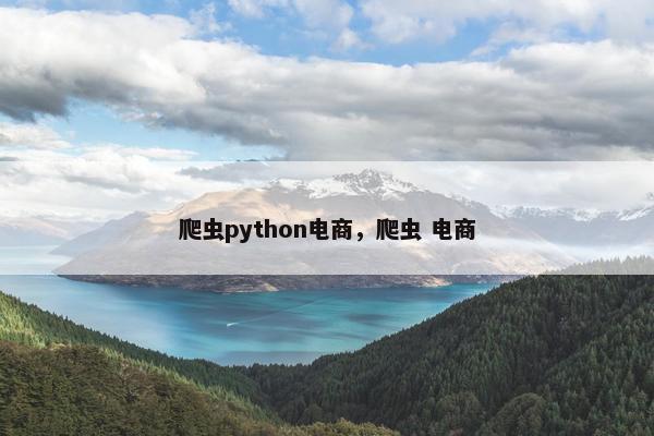爬虫python电商，爬虫 电商