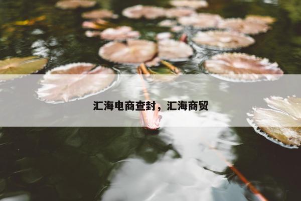 汇海电商查封，汇海商贸