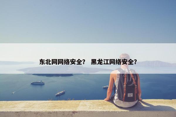 东北网网络安全？ 黑龙江网络安全？
