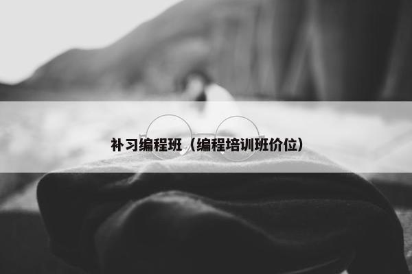 补习编程班（编程培训班价位）