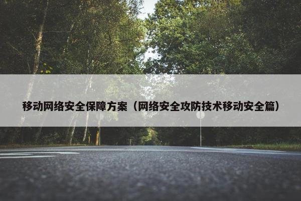 移动网络安全保障方案（网络安全攻防技术移动安全篇）