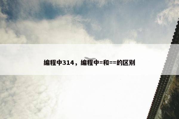 编程中314，编程中=和==的区别