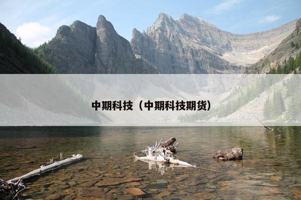 中期科技（中期科技期货）