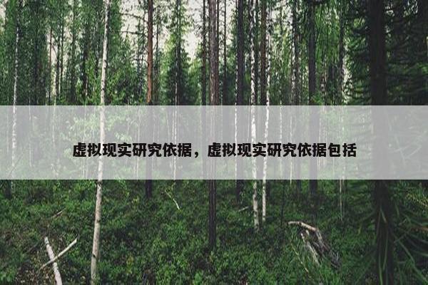 虚拟现实研究依据，虚拟现实研究依据包括