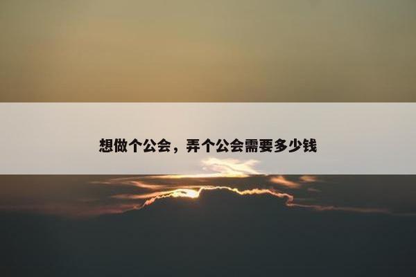 想做个公会，弄个公会需要多少钱