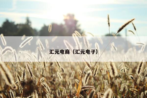 汇元电商（汇元电子）