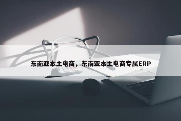 东南亚本土电商，东南亚本土电商专属ERP